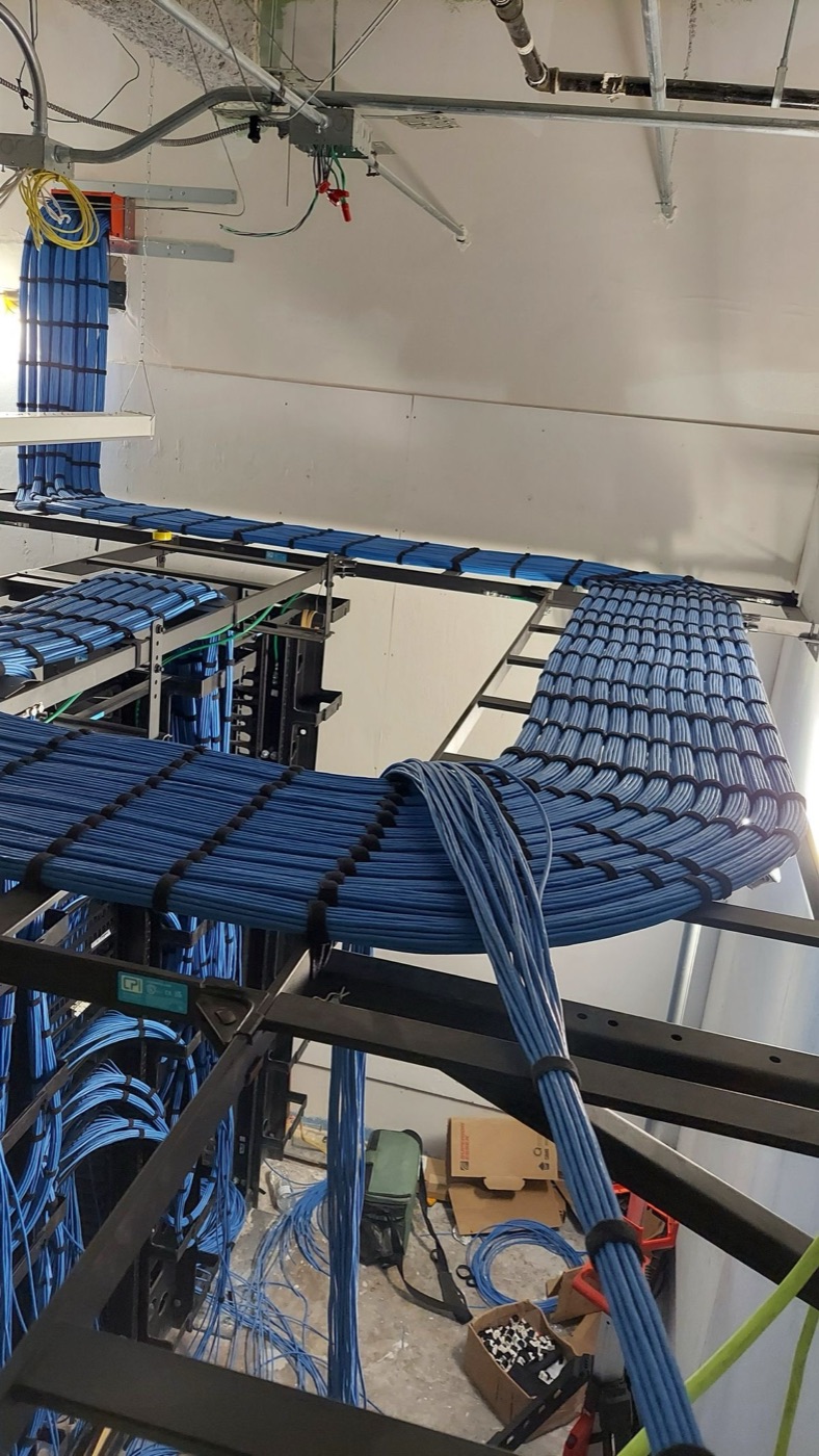 Cableado estructurado tendido en escalerilla sobre cielo raso